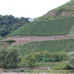 Boppard30