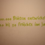 Schoko8