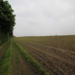 2016-05-25_118 Aalkate u.Kutschfahrt