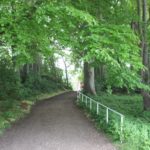 2016-05-25_156 Aalkate u.Kutschfahrt