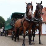 2016-05-25_57 Aalkate u.Kutschfahrt