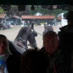 2016-05-25_71 Aalkate u.Kutschfahrt