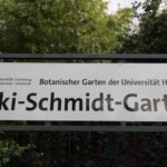 2016-07-05_1 Loki Schmidt Garten