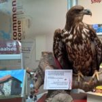 2016-07-27 Schaalsee 36