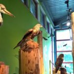 2016-07-27 Schaalsee 39