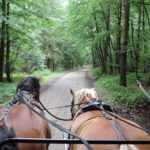 2016-07-27 Schaalsee 74