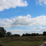 2016-08-17_64 Boberger Düne