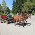 2016-08-21-071-erzgebirge_800x533