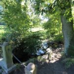 2016-09-06_11 Jenischpark